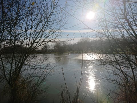 Natural landscape, Winter