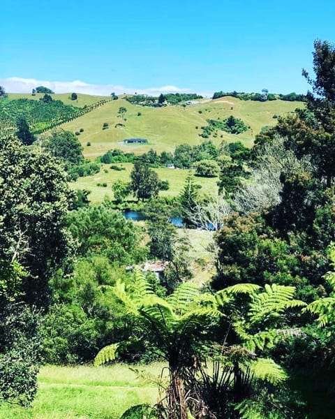 River View Escape close to Mount Maunganui & shops Maison in Tauranga
