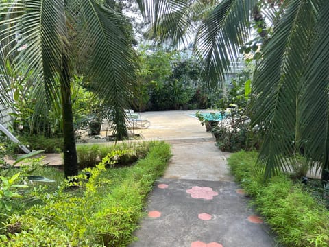 Day, Garden, Garden view