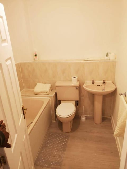 Toilet, Bathroom, Photo of the whole room