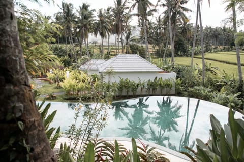 Garden view, Pool view, Swimming pool