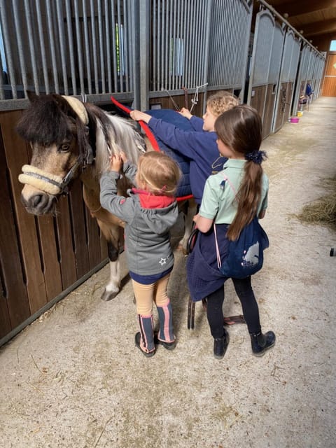 Horse-riding, Horse-riding, Animals, children