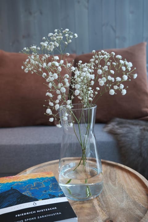 Modern apartment in Henningsvær Apartment in Lofoten