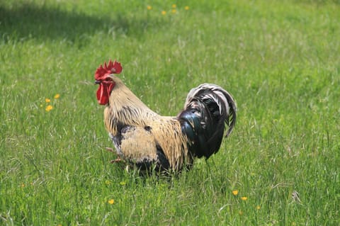 La Maison du Meunier House in Bourgogne-Franche-Comté