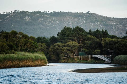 Natural landscape, Hiking, River view