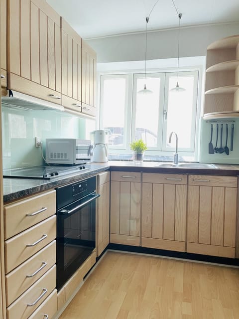 Kitchen or kitchenette, dishwasher, minibar, pet friendly, stove