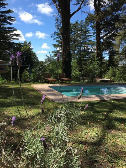 Day, Natural landscape, Garden, Garden view, Pool view, Swimming pool, sunbed