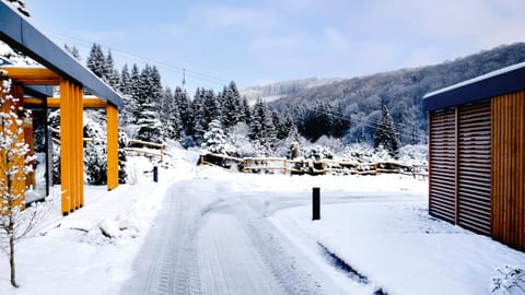 Winter, Mountain view