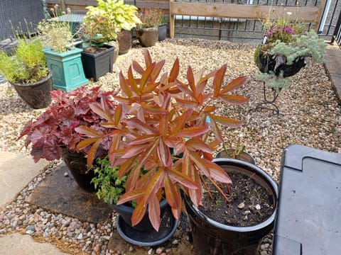 The Hideaway Apartment in England