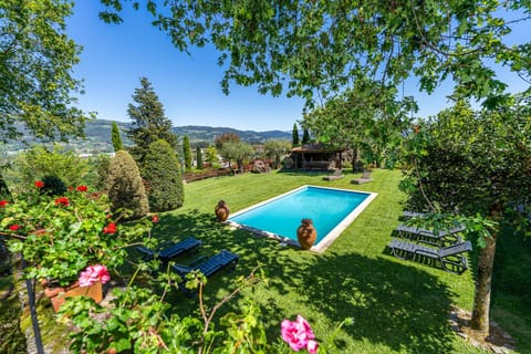 Garden, Garden view, Pool view, sunbed