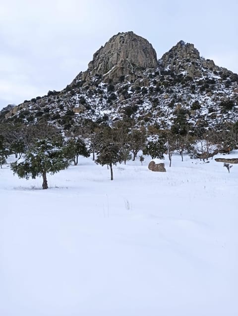 Natural landscape, Winter