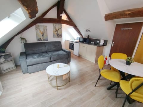 Orléans centre T2 théâtre et cathédrale Apartment in Orléans