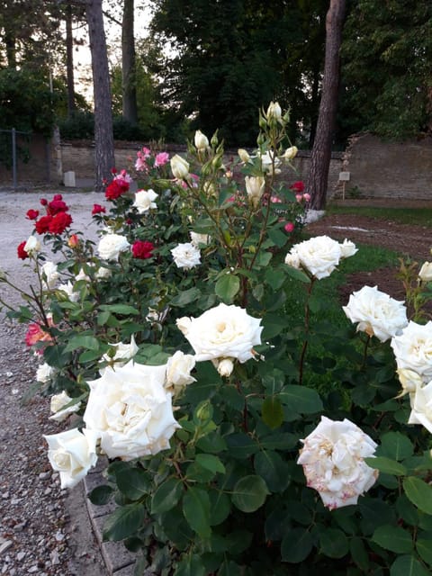 Le Clos des Roses House in Beaune