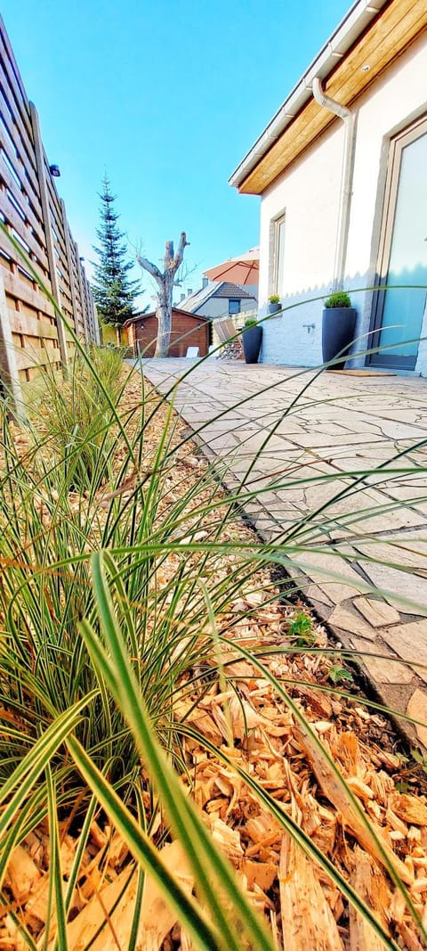 Patio, Garden, Garden view