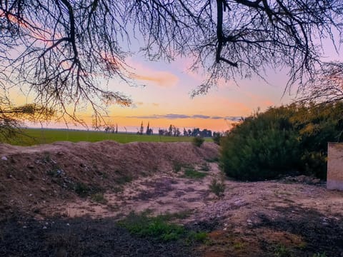 Natural landscape, Hiking, Sunrise