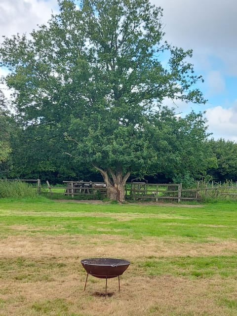 Spring, Day, Natural landscape, Garden, Garden view