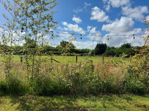 Spring, Day, Natural landscape, Garden, Garden view