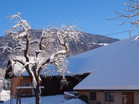 Patio, Winter, Garden, On site