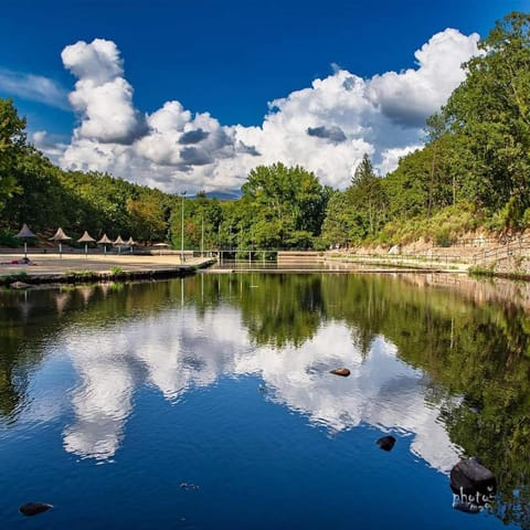 Lake view