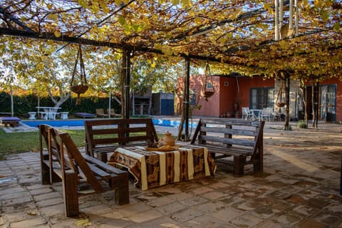 Patio, Garden view, Swimming pool