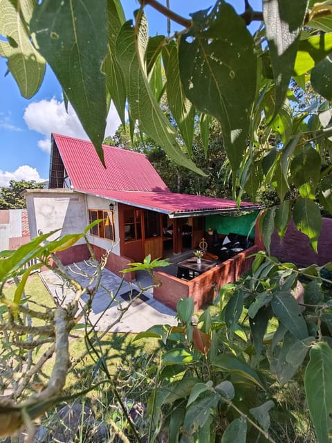 Property building, Garden, Balcony/Terrace, Garden view