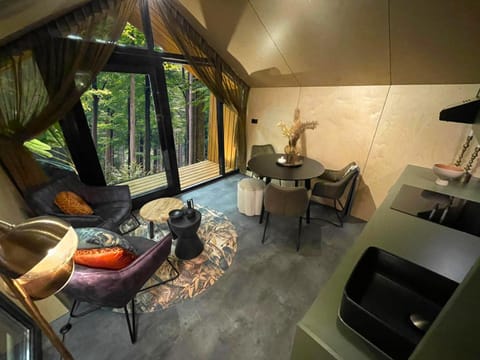Diamond Suite in the woods Maison in Holten