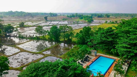 Bird's eye view, Swimming pool