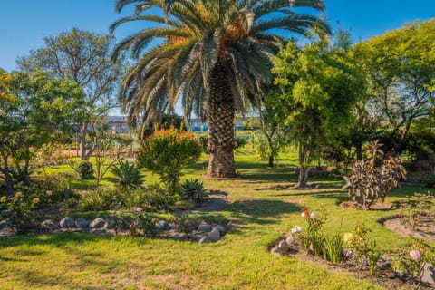 Natural landscape, Garden, Garden view