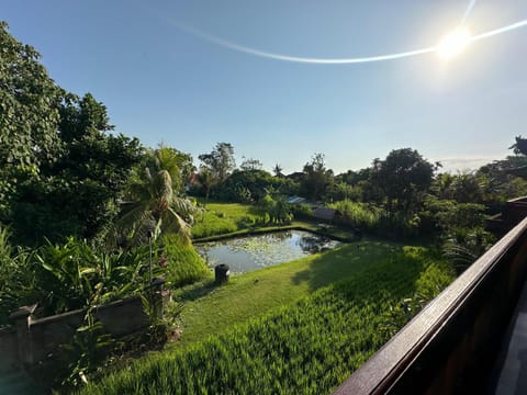 View (from property/room), Garden view