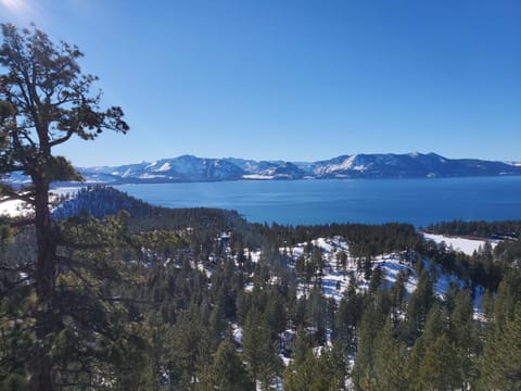 Mountain Cabin in Zephyr Cove beach, slopes, and hot tub House in Round Hill Village