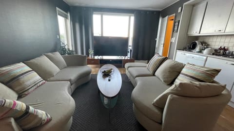 Privat rom på Storelva med en nydelig utsikt Apartment in Tromso