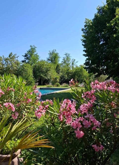 Garden, Swimming pool