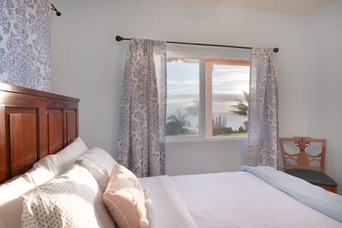Big Island Getaway, Ocean View Paradise House in Papaaloa
