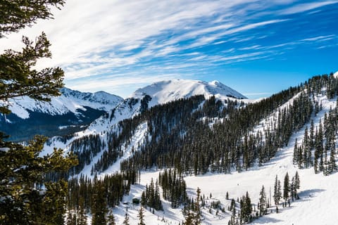 Predock 2F Appartement in Taos Ski Valley