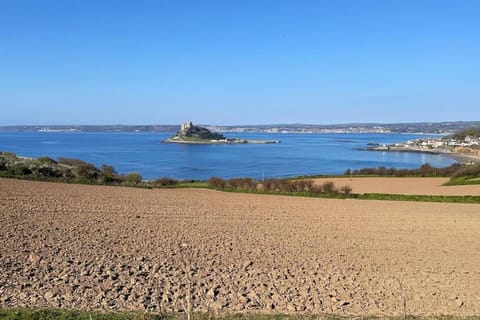 Lovely 1 bed flat in Victorian house 300m seafront Apartment in Penzance