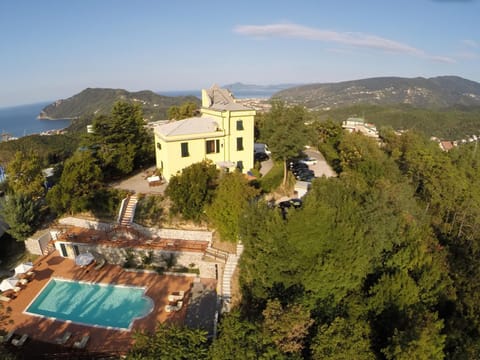 Bird's eye view, Decorative detail, Swimming pool, Swimming pool