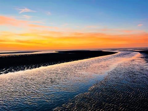 Natural landscape, Beach, Sunrise