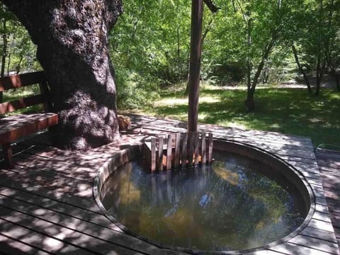 Hot Tub