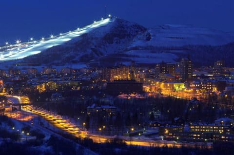 Bird's eye view, Winter, City view