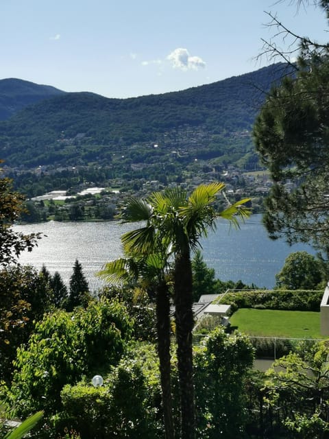 Lake view