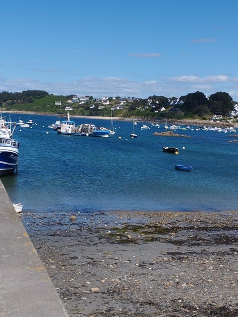 Maison du martin pêcheur à Lannion House in Lannion