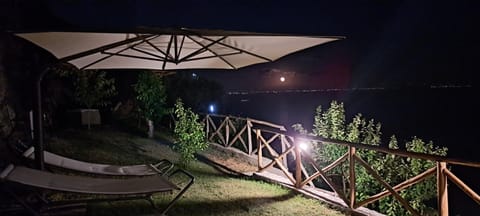 Patio, Night, Natural landscape, Garden, Garden view