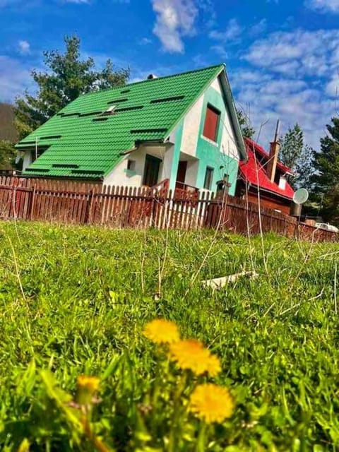 Casa Verde House in Timiș County