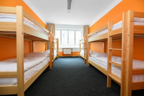 Bed, Photo of the whole room, bunk bed