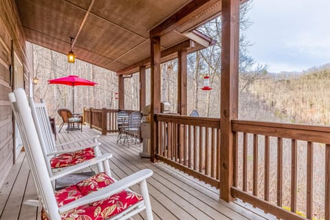 Tree Top Cabin House in Sylva