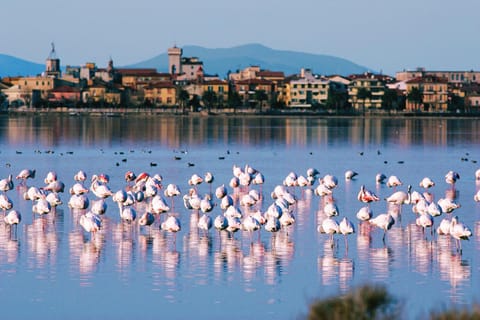 Park Hotel Residence Hotel in Orbetello