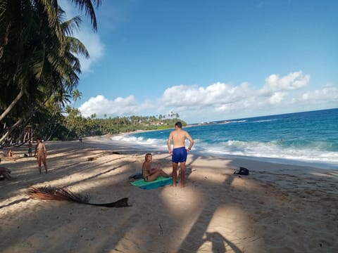 Natural landscape, Beach