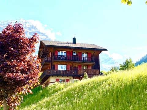Property building, Garden view