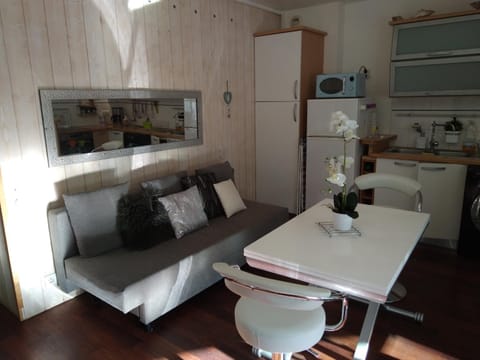 Joli T2 proche plages Apartment in Biarritz