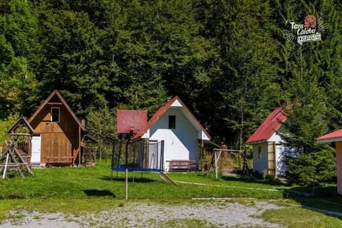 Cabana Valea Stanciului Bed and Breakfast in Cluj County